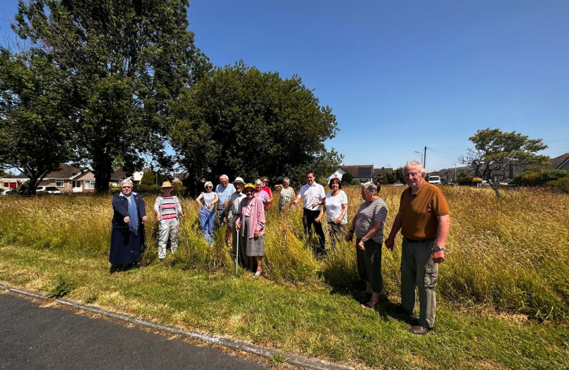 Council urged to rethink its ‘wildflower meadow’ approach