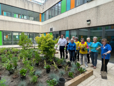 MP helps plant tree at hospital 'quiet area'  